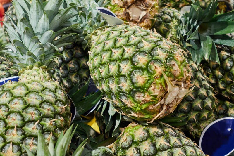 Mountain of Pineapples on the Counter of the Store Stock Photo Image