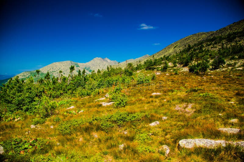 Mountain Range. Big High Hills in Green Stock Photo Image of woods