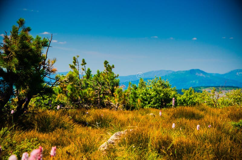 Mountain Range. Big High Hills in Green Stock Image Image of sunlight