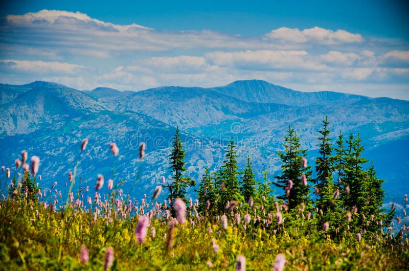 Mountain Range. Big High Hills in Green Stock Photo Image of yellow