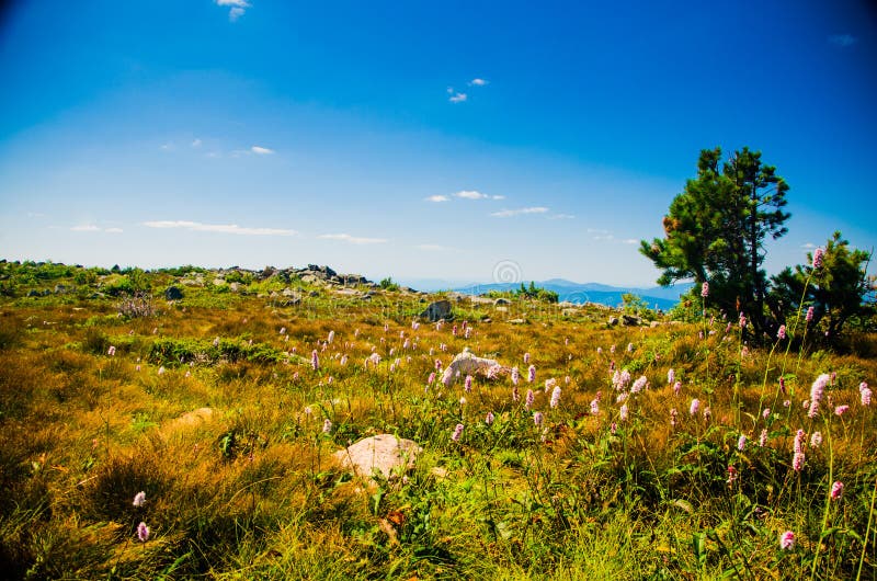 Mountain Range. Big High Hills in Green Stock Image Image of yellow