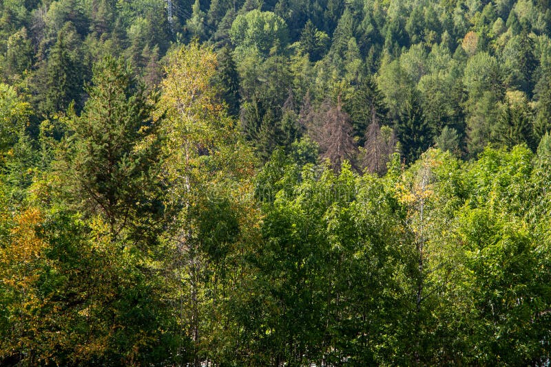 Mountain range of monte bianco italy france stock photos