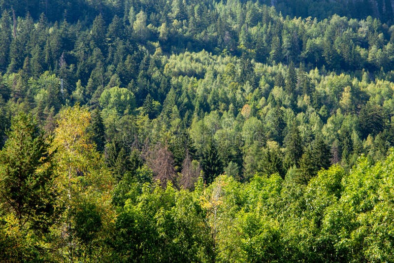 Mountain range of monte bianco italy france royalty free stock photos