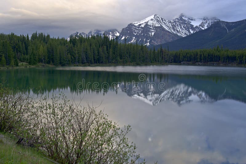 Mountain reflection in Lake Herbert