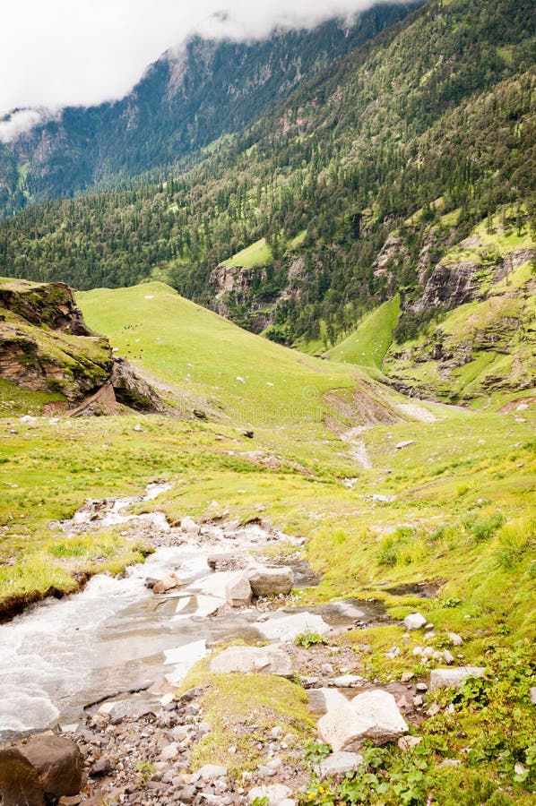 Mountain River Stock Image Image Of Green Environment 21509477