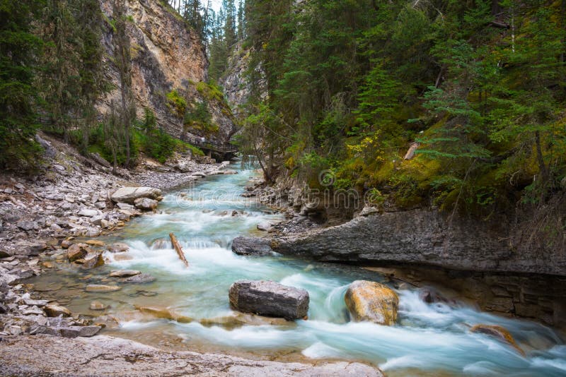 Mountain River Evergreen Forest Canadian Rockies