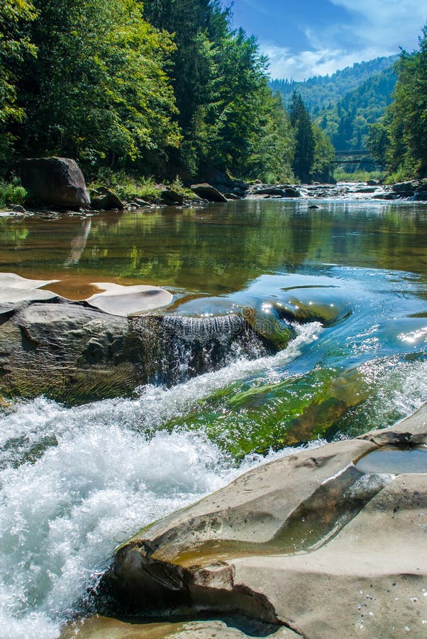 Mountain River Flowing Through The Green Forest Stock Image Image Of