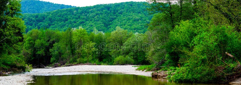 Mountain River Flowing Through The Green Forest Stock Image Image Of