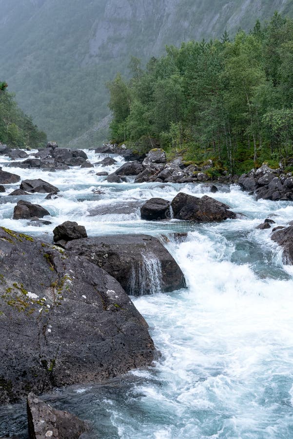 Mountain River Flowing Through The Green Forest Stock Photo Image Of