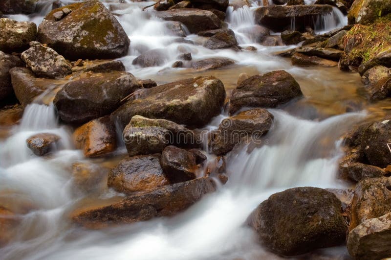 Mountain River Flowing Through The Green Forest Stream In The Wood