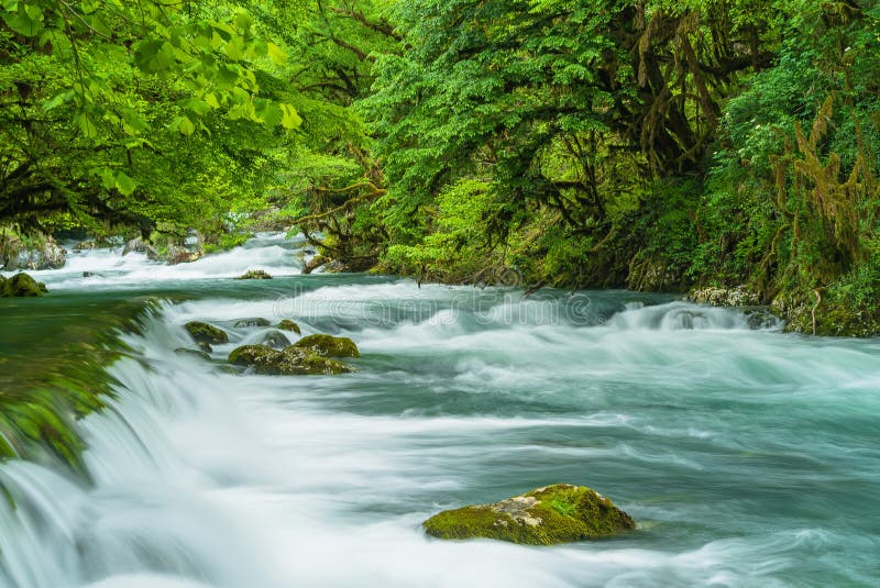 Mountain River Flowing Through The Green Forest Rapid Flow Over Rock