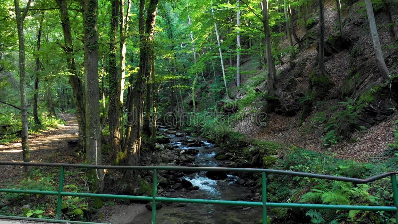 Mountain river flowing over rocks and boulders in forest