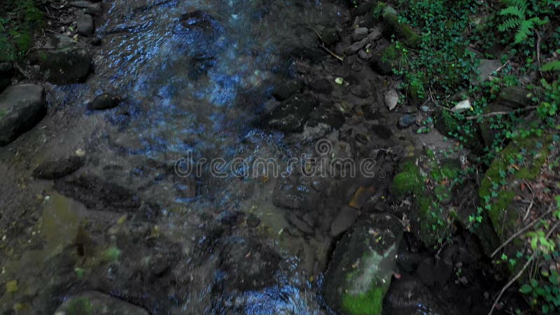 Mountain river flowing over rocks and boulders in forest