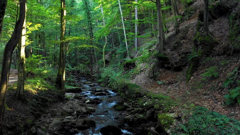 Mountain river flowing over rocks and boulders in forest