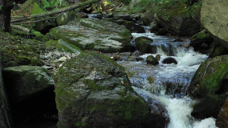 Mountain river flowing over rocks and boulders in forest