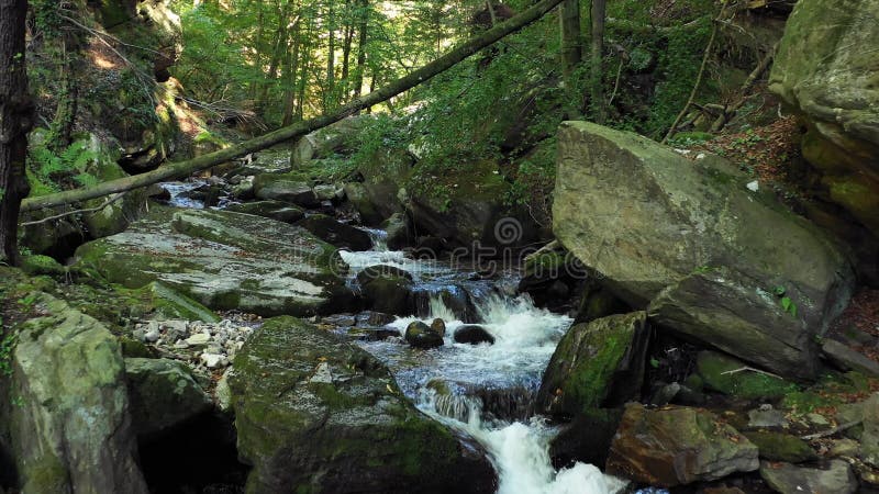 Mountain river flowing over rocks and boulders in forest