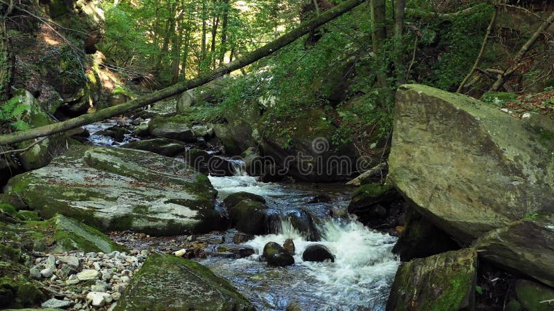 Mountain river flowing over rocks and boulders in forest