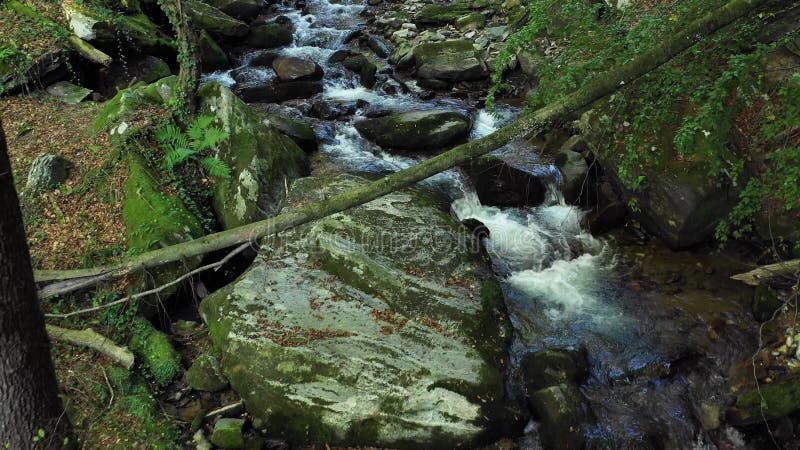 Mountain river flowing over rocks and boulders in forest