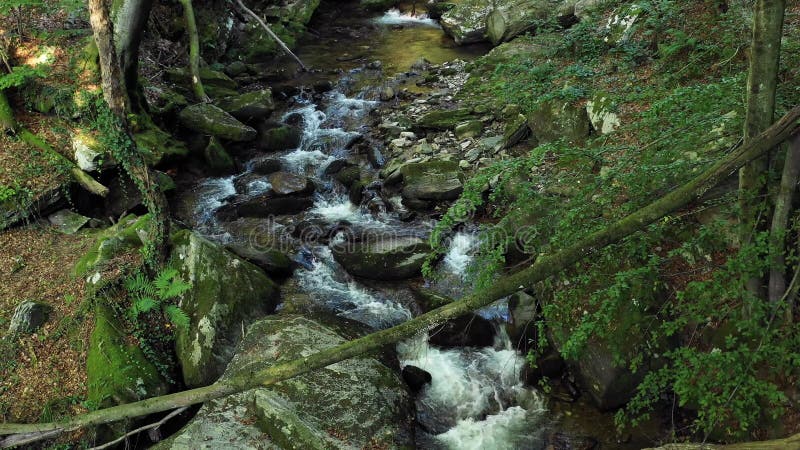 Mountain river flowing over rocks and boulders in forest