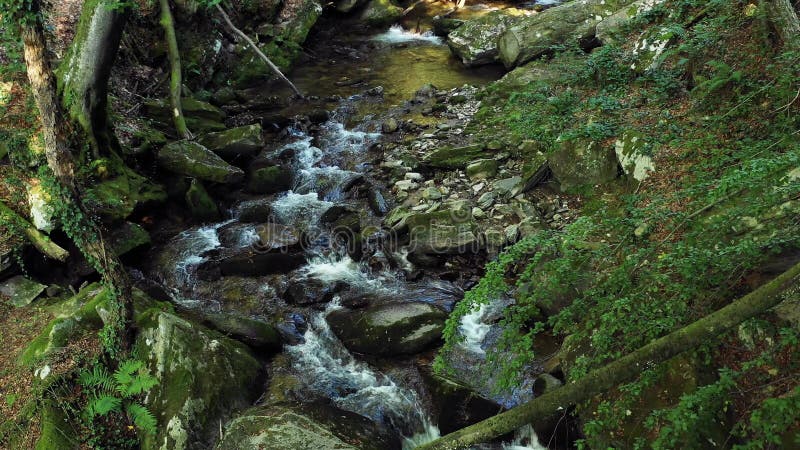 Mountain river flowing over rocks and boulders in forest