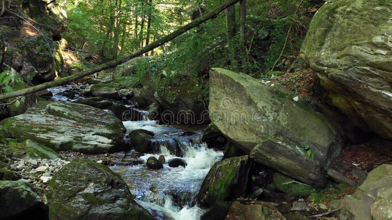 Mountain river flowing over rocks and boulders in forest