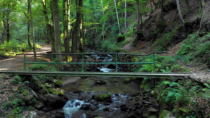 Mountain river flowing over rocks and boulders in forest