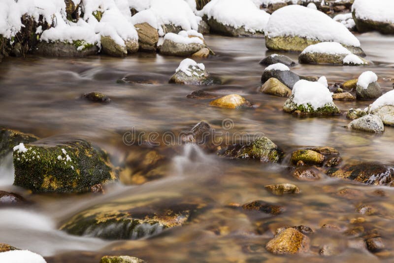 Mountain river flowing in winter snowy forest.