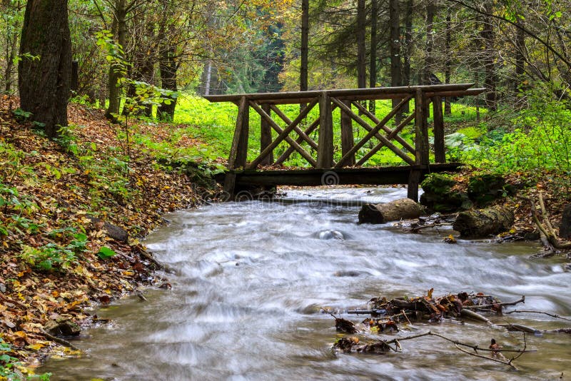 Mountain river in forest, autumn landscape