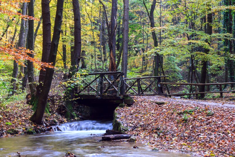 Mountain river in forest, autumn landscape