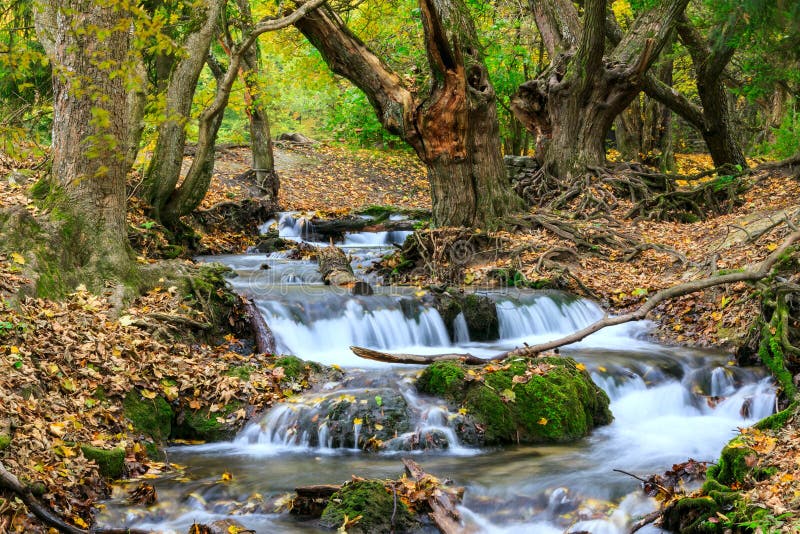 Mountain river in forest, autumn landscape