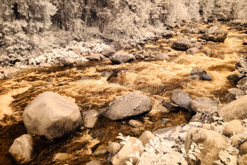 Mountain river in forest in Slovakia. autumn colors. infrared image