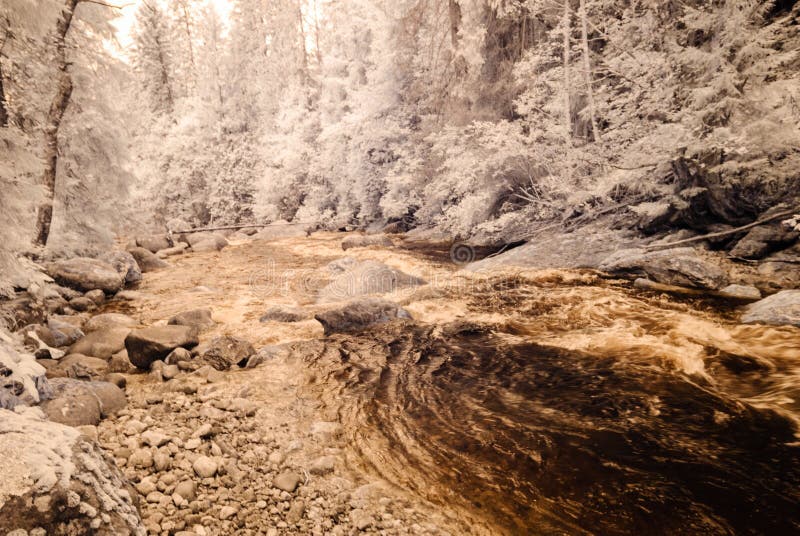 Mountain river in forest in Slovakia. autumn colors. infrared image