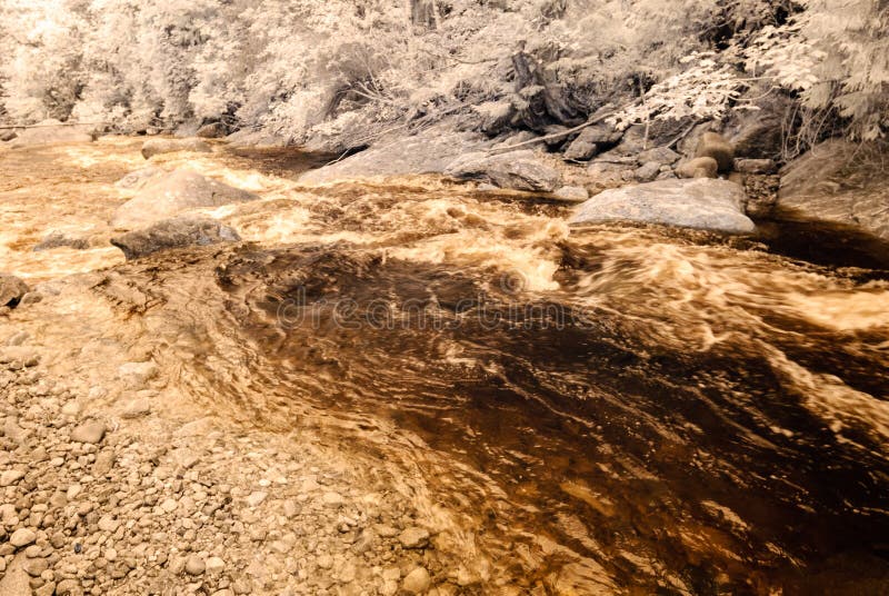 Mountain river in forest in Slovakia. autumn colors. infrared image