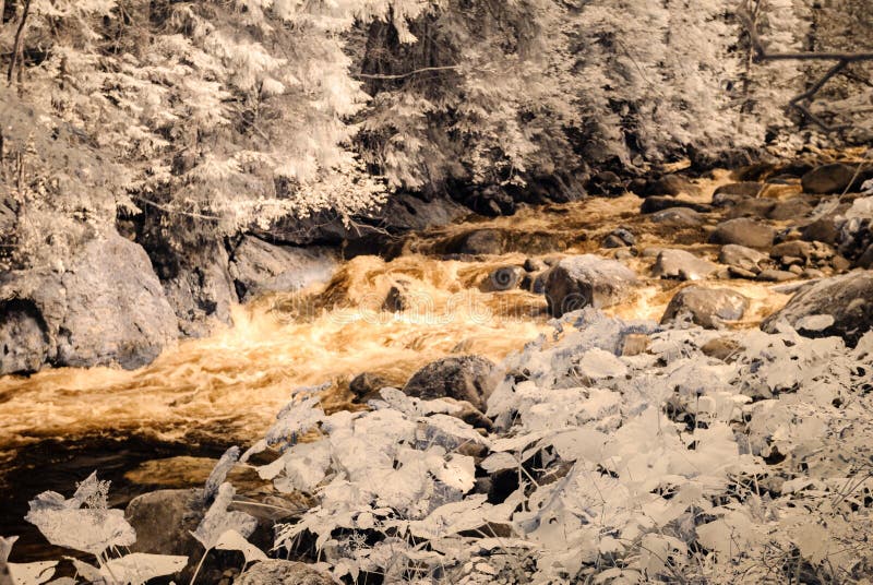 Mountain river in forest in Slovakia. autumn colors. infrared image