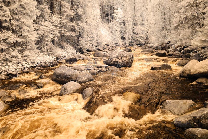 Mountain river in forest in Slovakia. autumn colors. infrared image