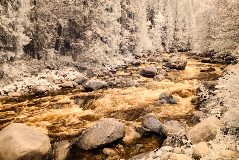 Mountain river in forest in Slovakia. autumn colors. infrared image