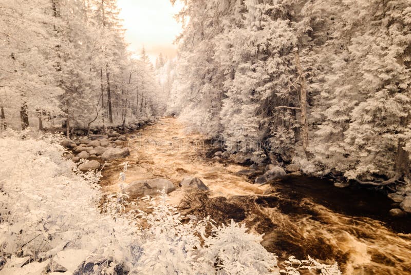 Mountain river in forest in Slovakia. autumn colors. infrared image