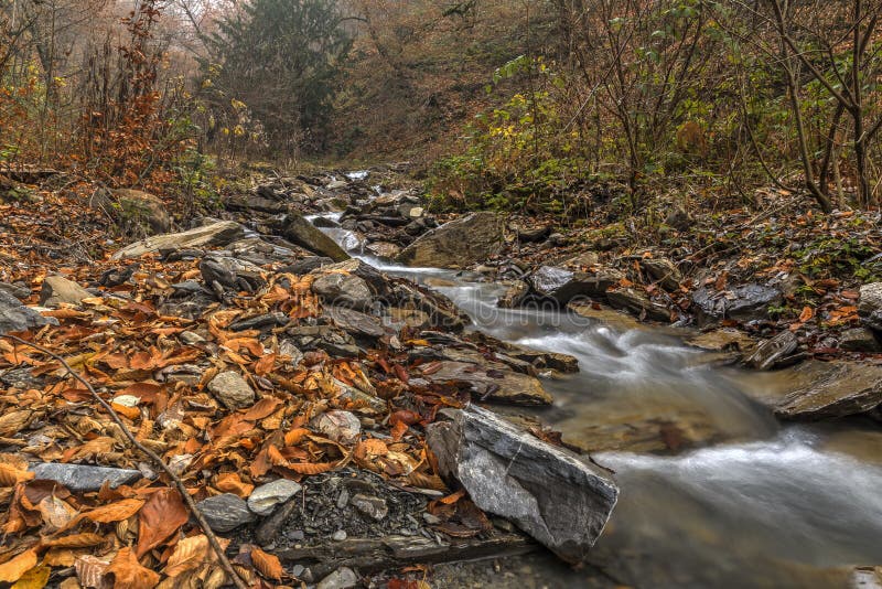 Mountain River.Gabala.Vandam.Azerbaijan