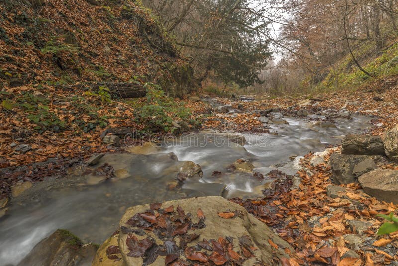 Mountain River.Gabala.Vandam.Azerbaijan