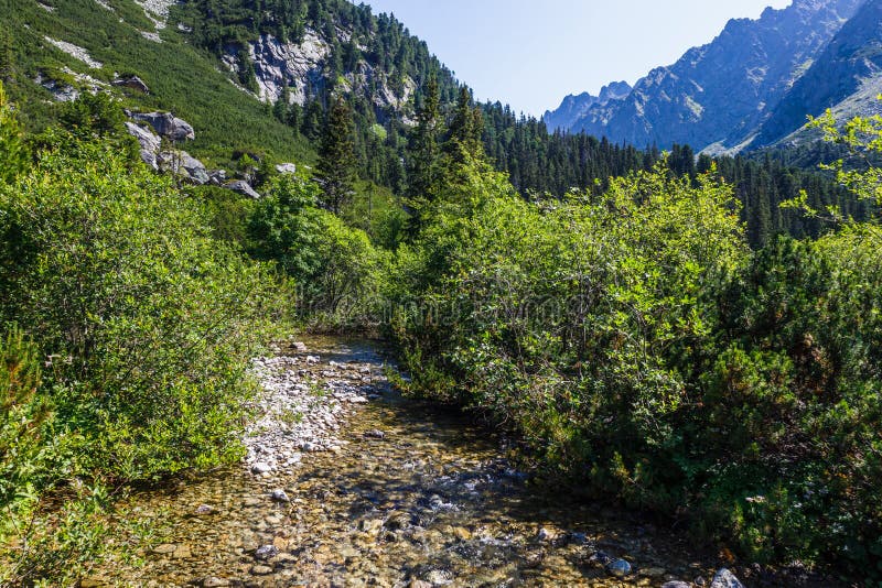 Mountain river at the High Tatras National Park