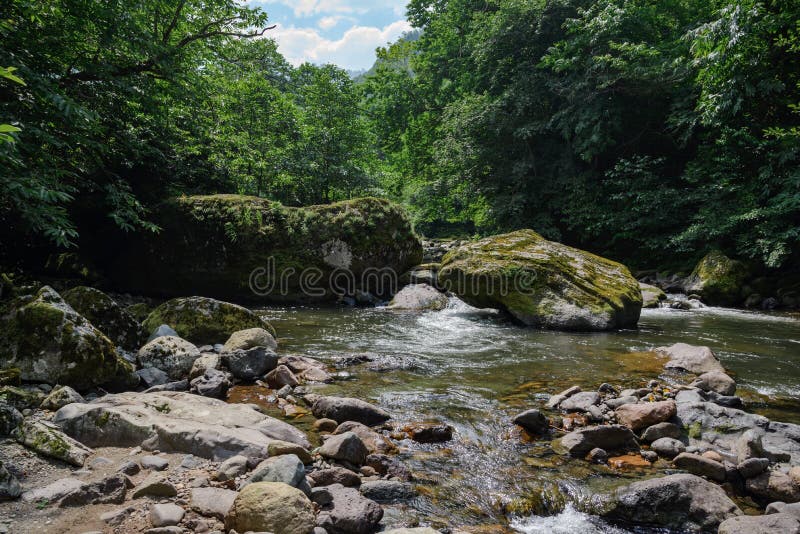 Waterfall On A Mountain River With Green Water And Spring Green Forest