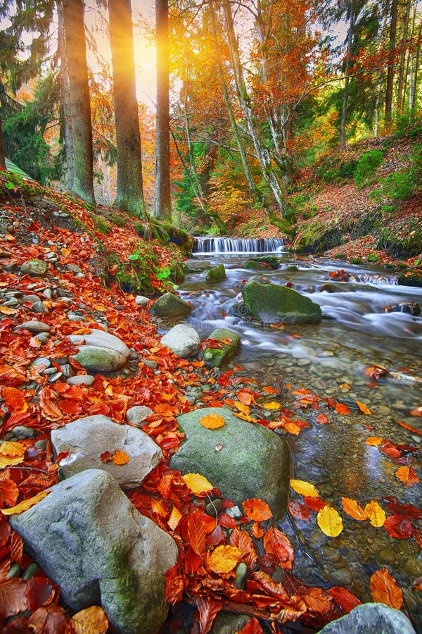 Mountain River With Rapids And Waterfalls At Autumn Time Time Stock