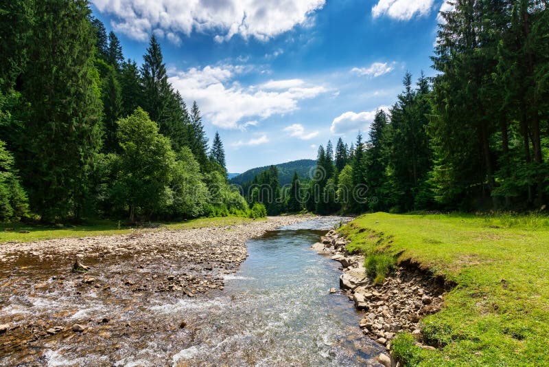 Mountain river runs through countryside valley