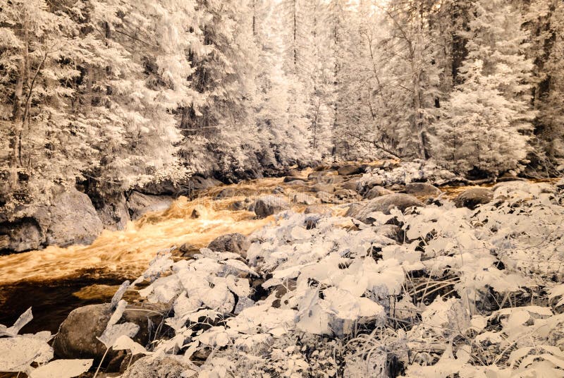 Mountain river in forest in Slovakia. autumn colors. infrared image