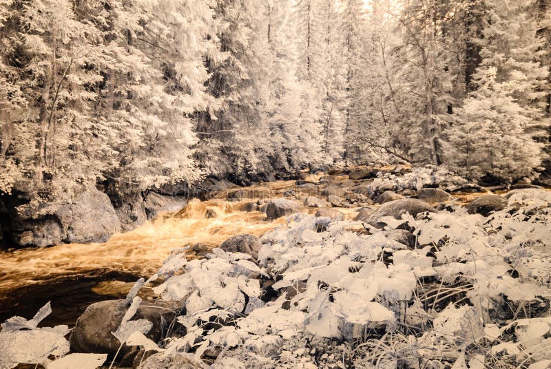 Mountain river in forest in Slovakia. autumn colors. infrared image