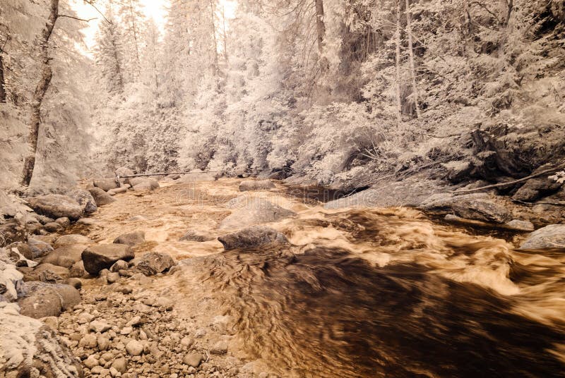 Mountain river in forest in Slovakia. autumn colors. infrared image