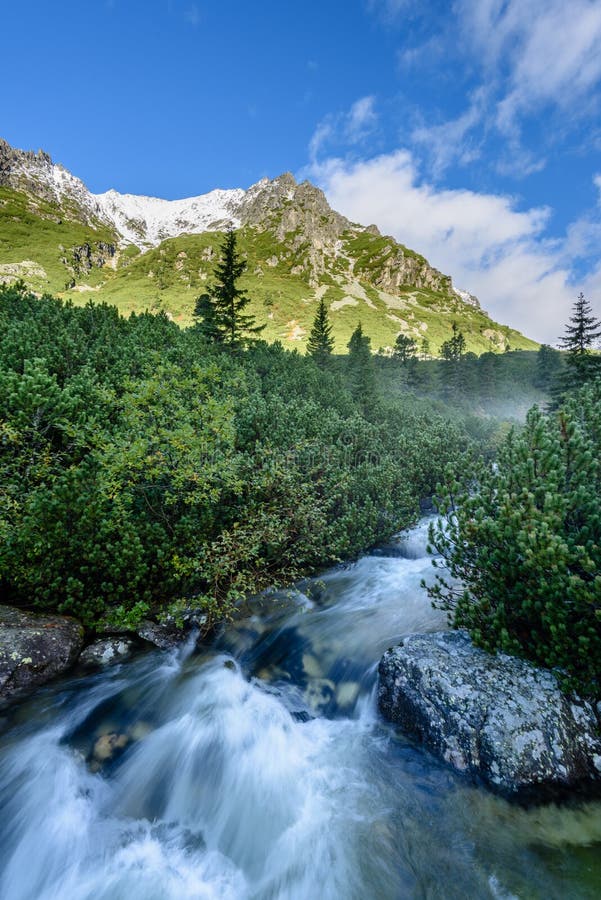 Mountain river in summer