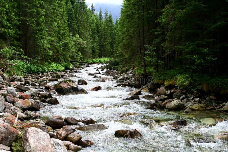 Mountain River in Tatra Mountains Stock Photo Image of rest, roof