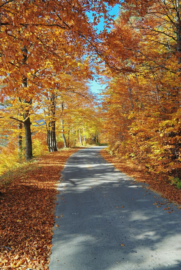 Mountain Road in autumn