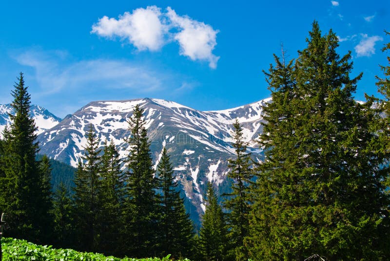 Mountain s landscape in springtime